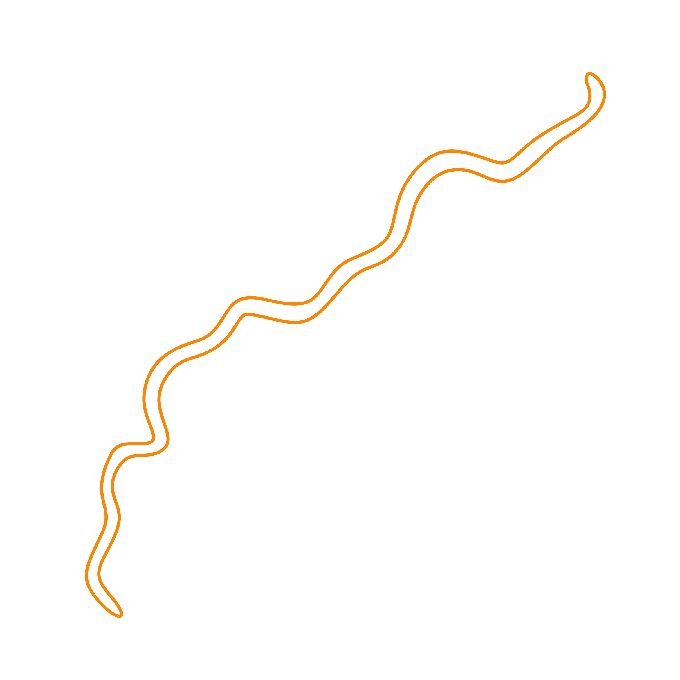 Animals Worms Giant Gippsland Earthworm Sketch Drawing Svg Free Vectors